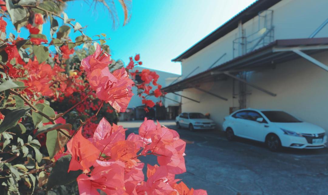 Photo of Others in Pingtung