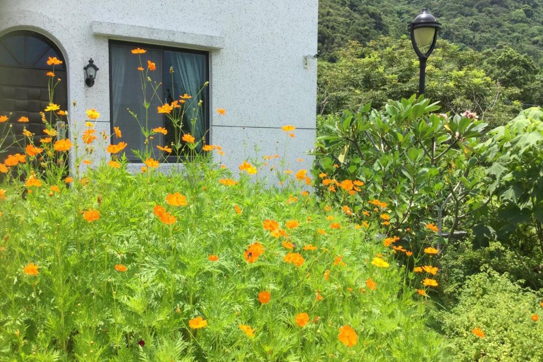Photo of Others in Hualien