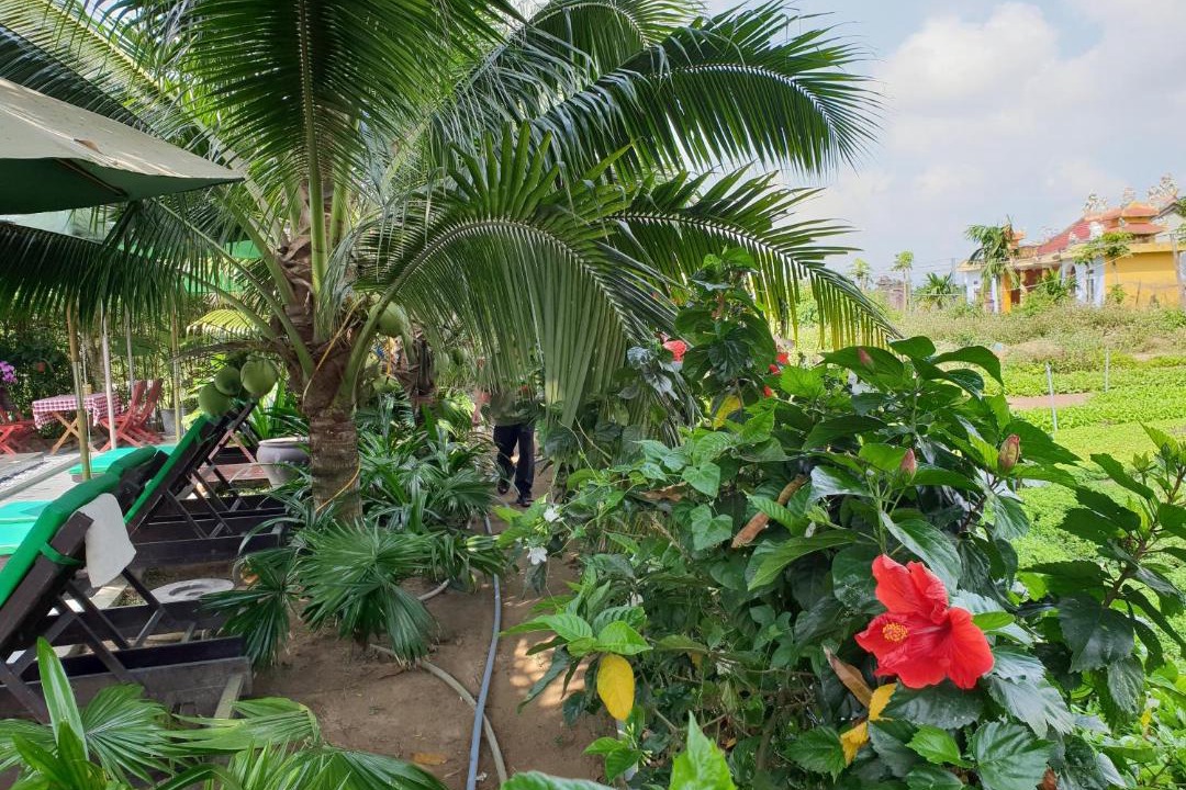 Photo of Others in Tra Que Vegetable Village