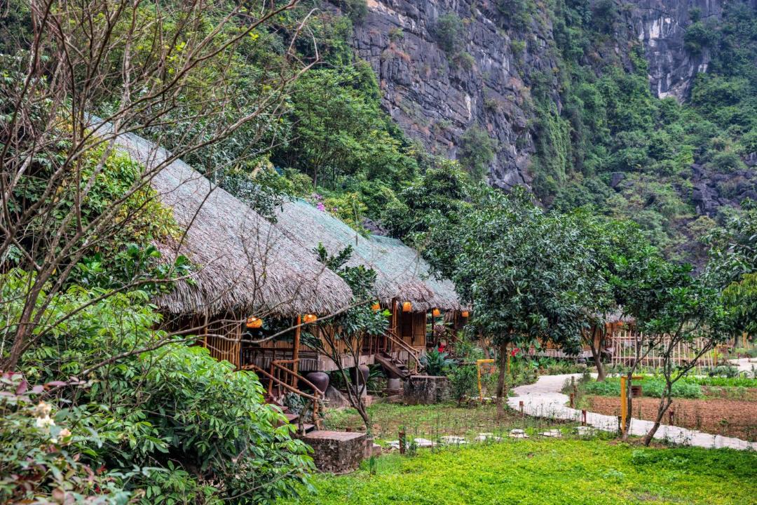 Photo of Others in Ninh Binh