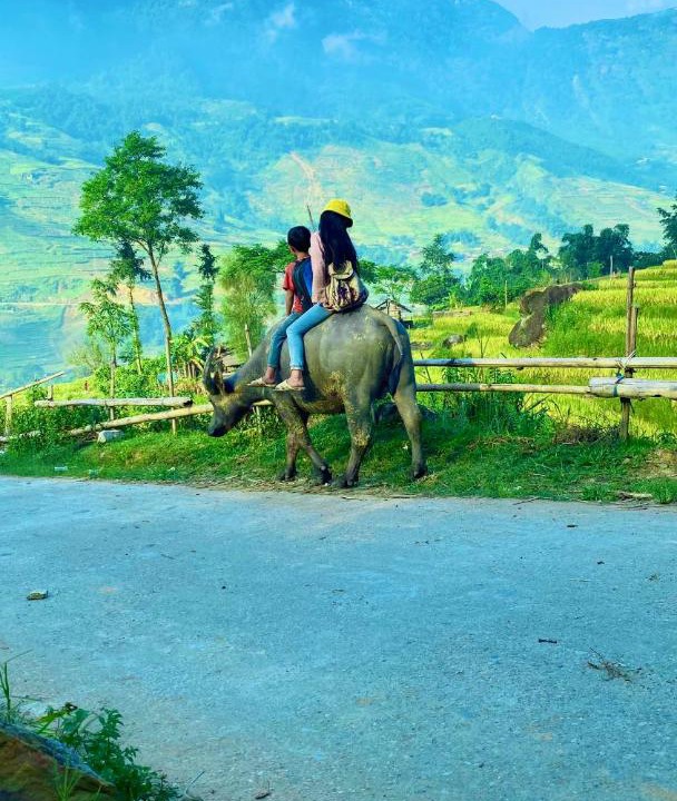 Photo of Others in Sa Pa