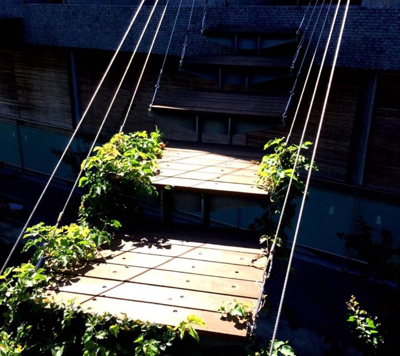 Photo of Outdoor in Donghe