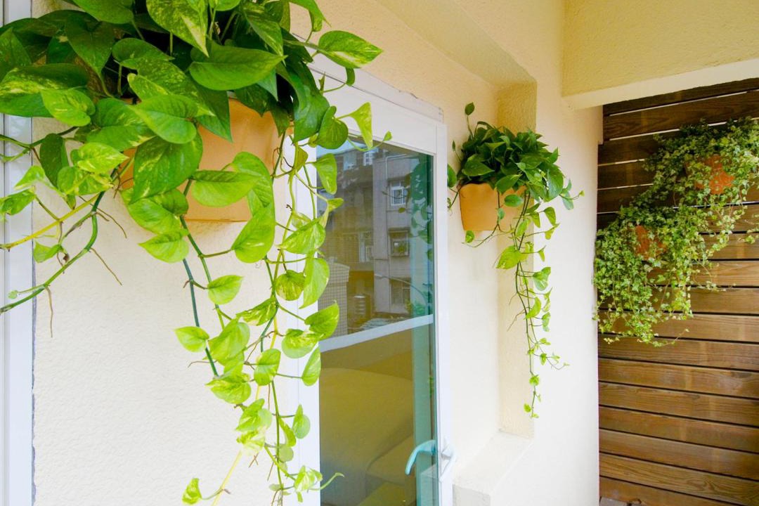 Photo of Patio Balcony in Banqiao