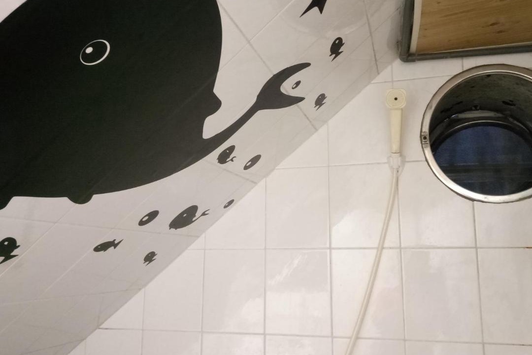 Photo of Bathroom in Beitou