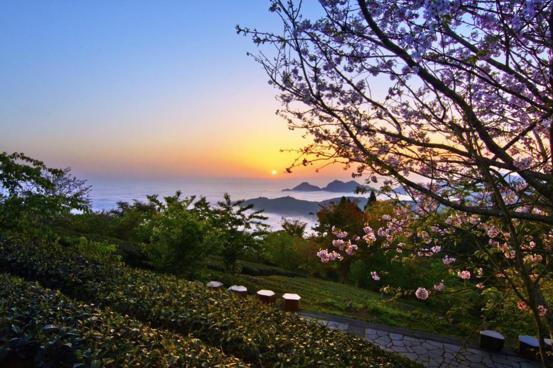 Photo of Others in Zhuqi