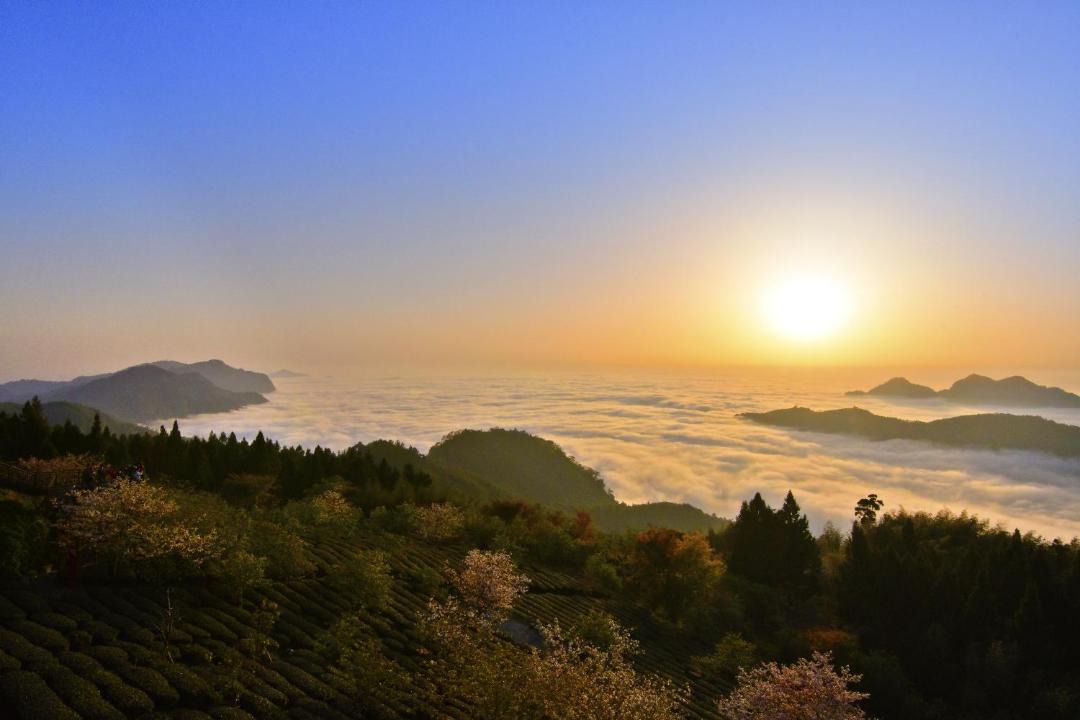 Photo of Others in Zhuqi