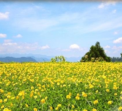 Photo of Outdoor in Fanlu