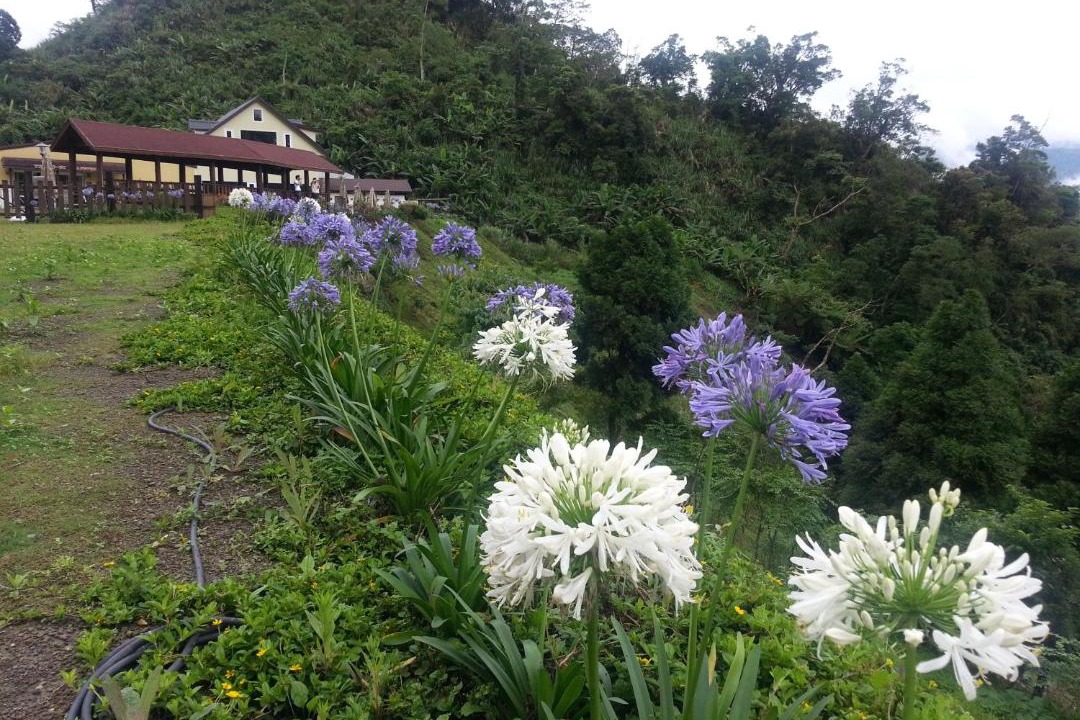 Photo of Others in Fanlu