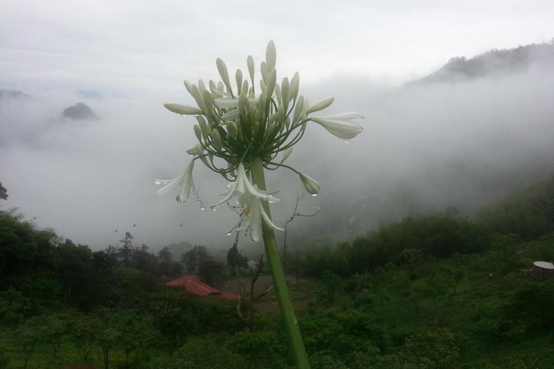 Photo of Outdoor in Fanlu