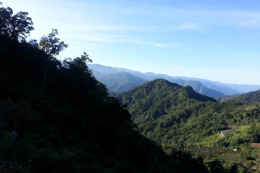 Photo of Others in Fanlu