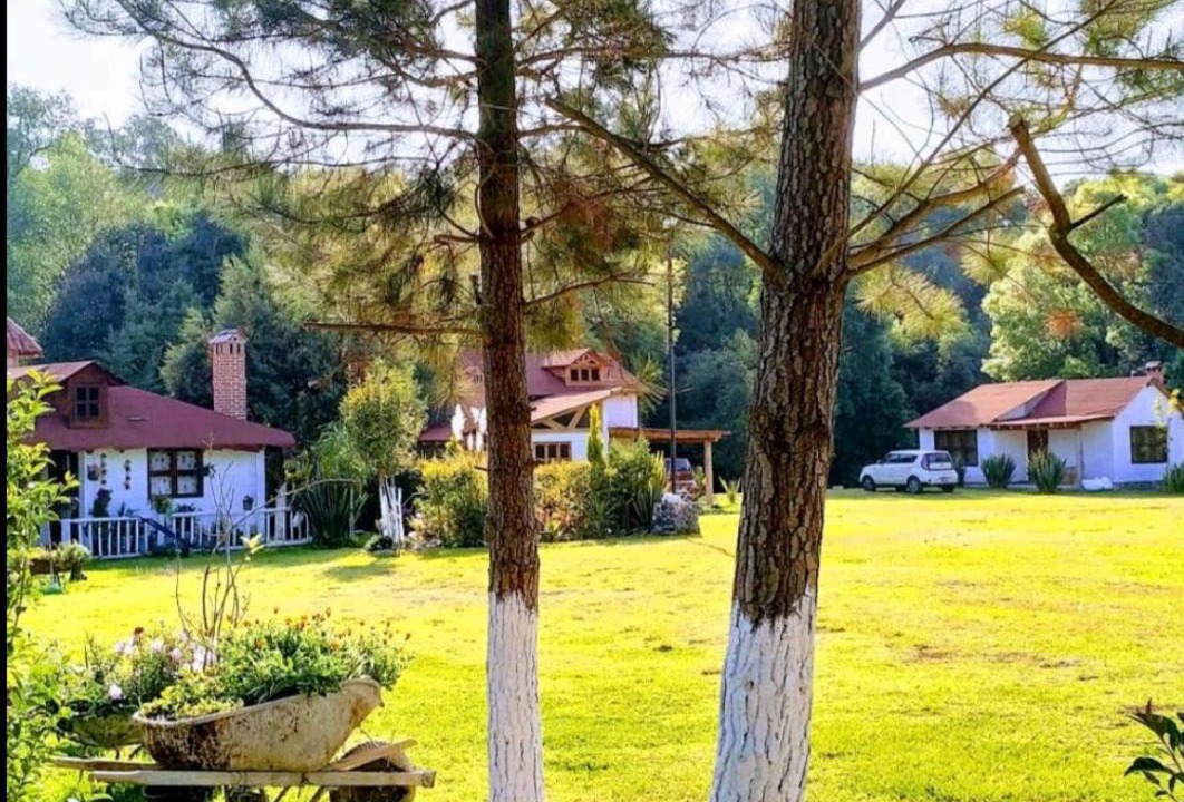 Photo of Others in Huasca De Ocampo