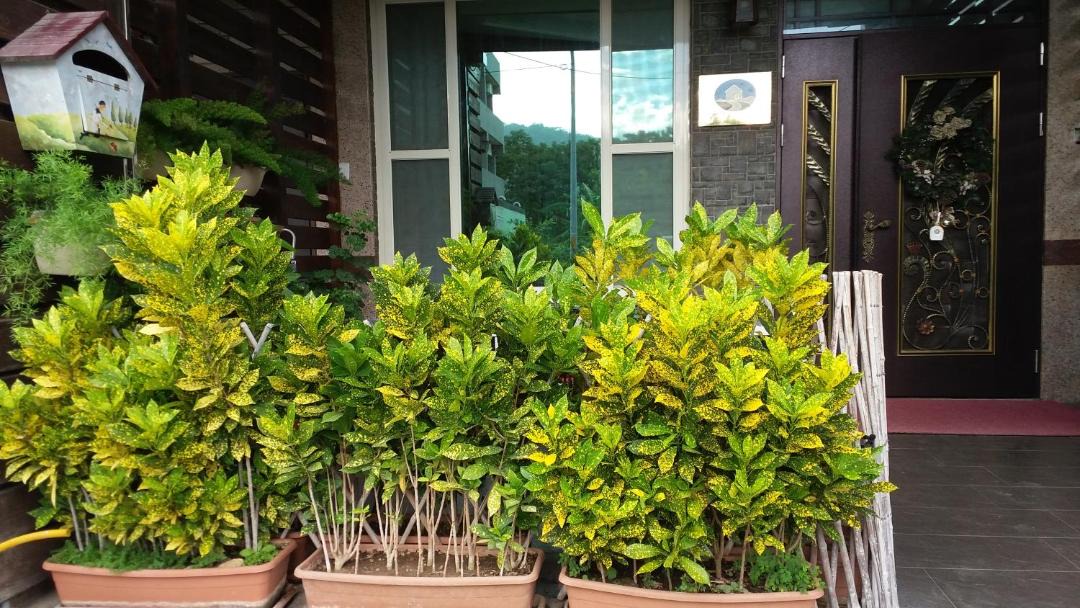 Photo of Others in Taitung