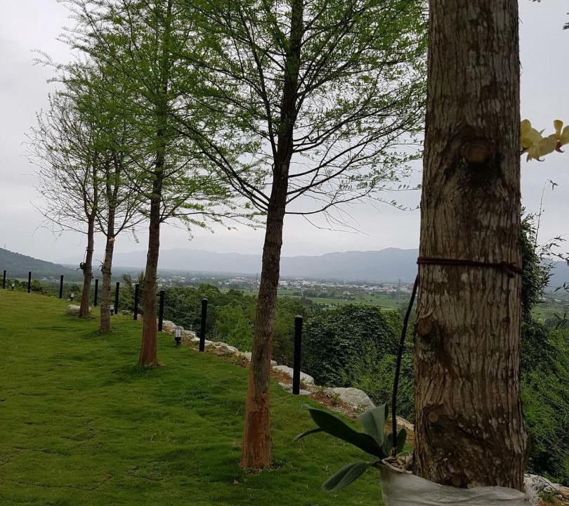 Photo of Others in Fenglin
