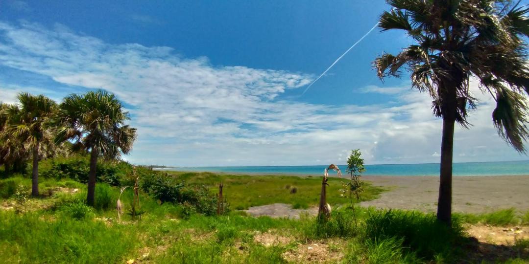 Photo of Outdoor in Dawu