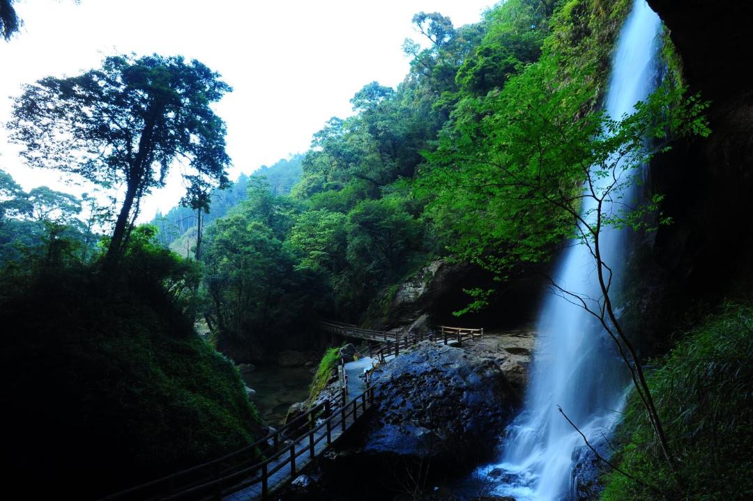 Photo of Others in Xitou