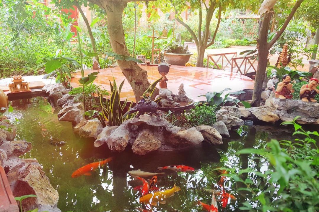 Photo of Others in Hoa Lu