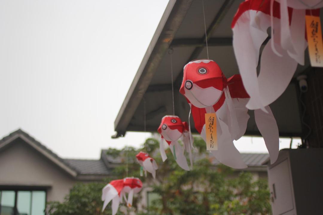 Photo of Others in Gangshan District