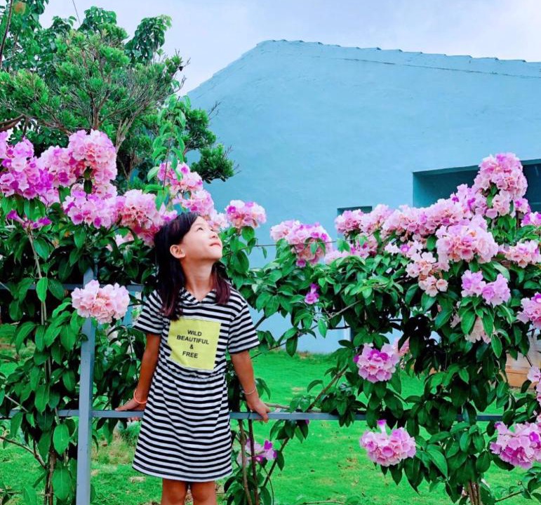 Photo of Others in Gangkou