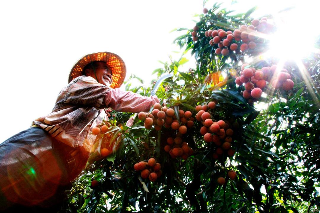 Photo of Others in Dongshan District