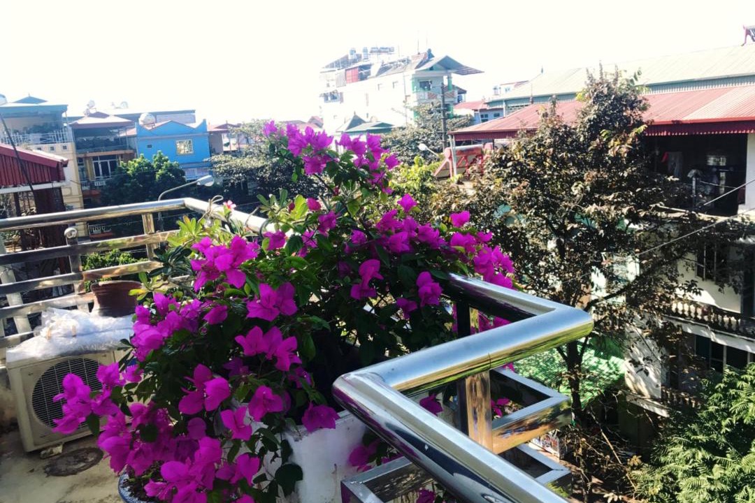 Photo of Others in Muong Thanh