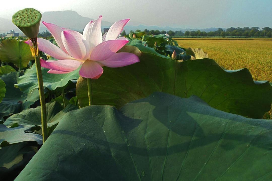 Photo of Others in Baihe