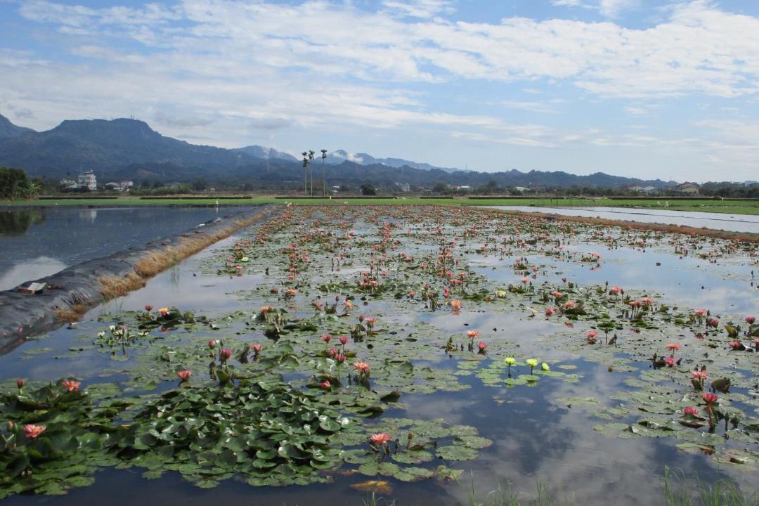 Photo of Outdoor in Baihe