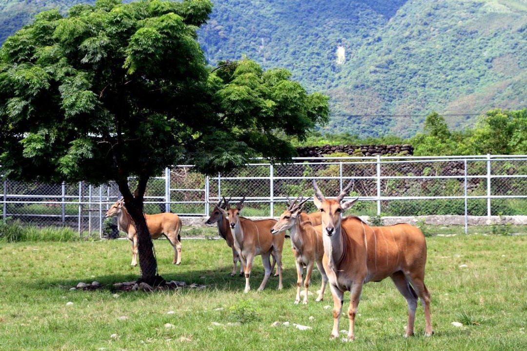 Photo of Others in Chishang