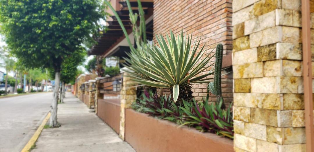 Photo of Others in San Juan Bautista Tuxtepec