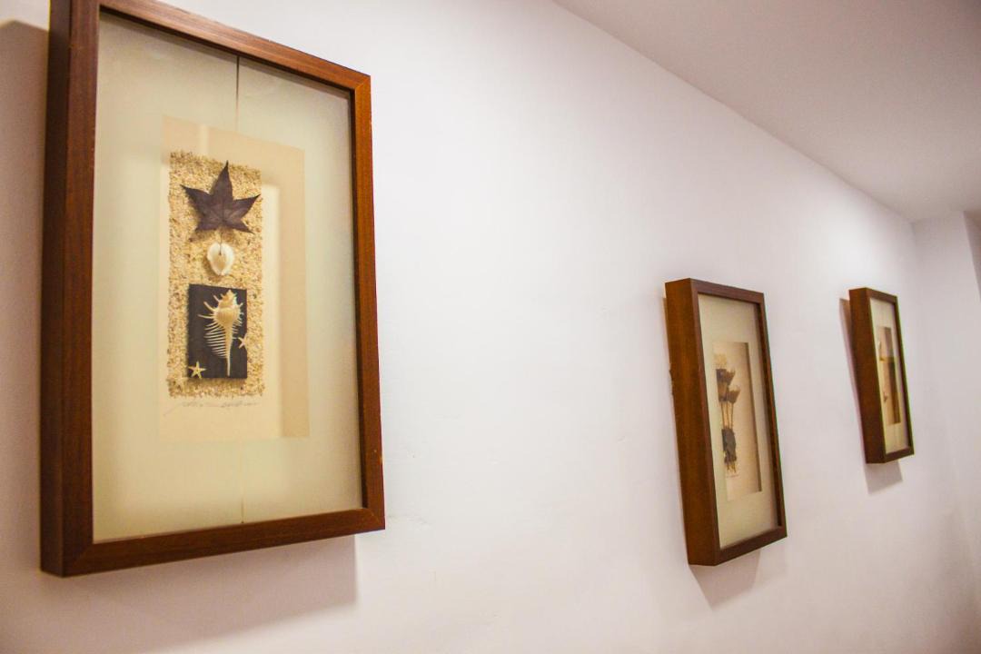 Photo of Others in Zhushan