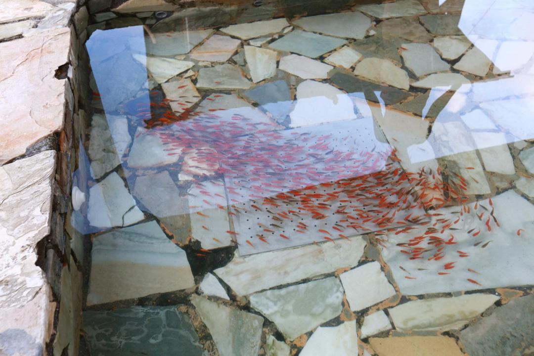 Photo of Others in Checheng