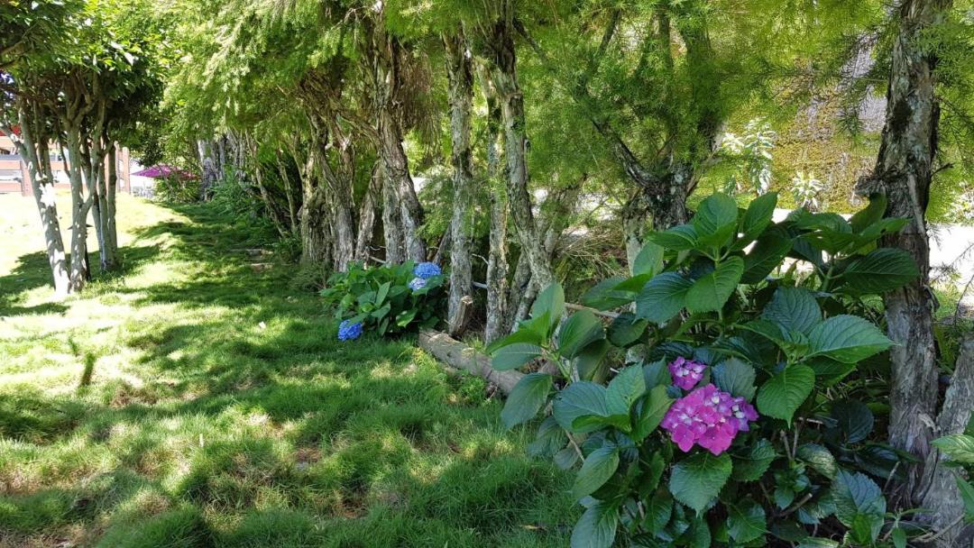 Photo of Outdoor in Ren'ai