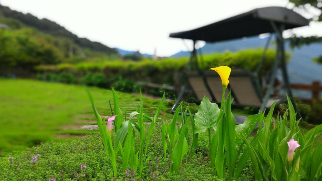 Photo of Outdoor in Ren'ai