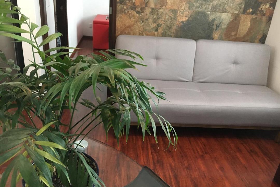 Photo of Livingroom in Del Carmen