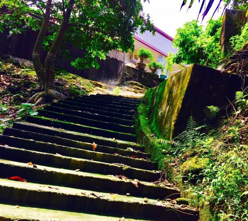 Photo of Others in Chiayi