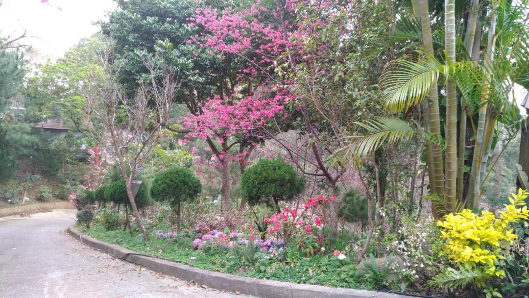 Photo of Outdoor in Tongxiao