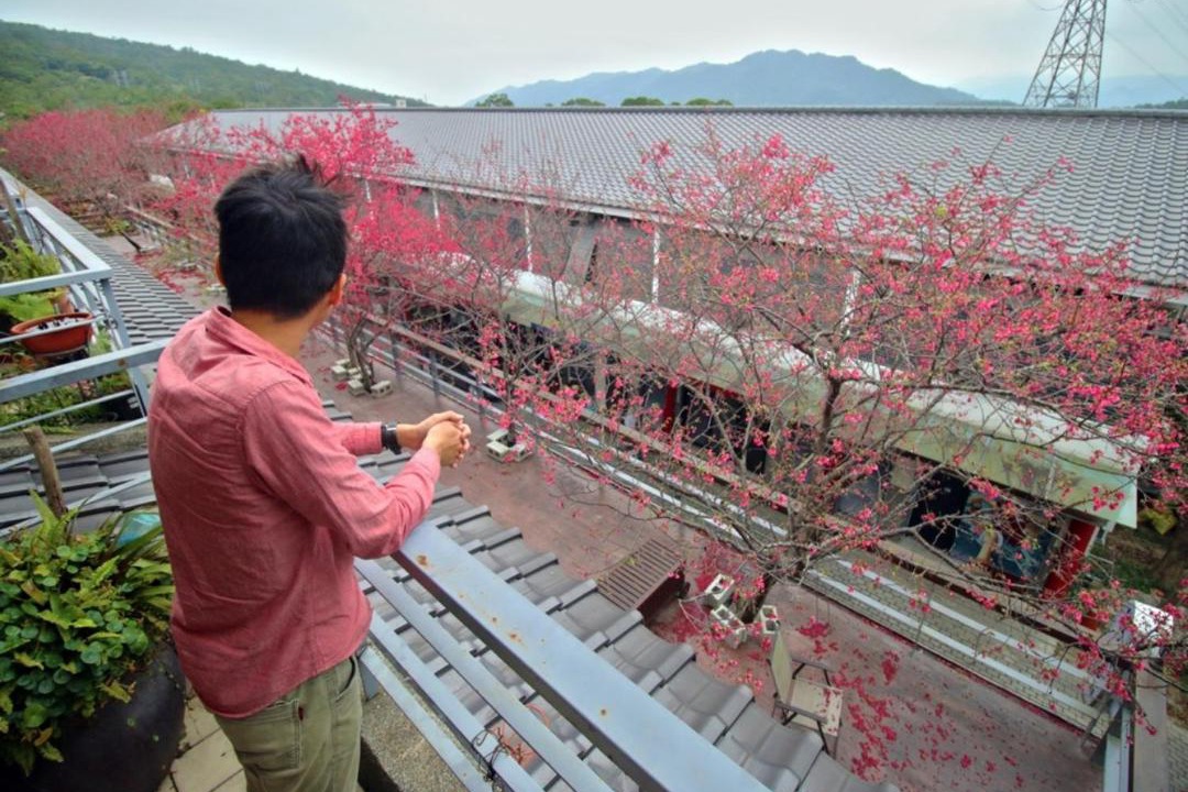 Photo of Others in Sanyi