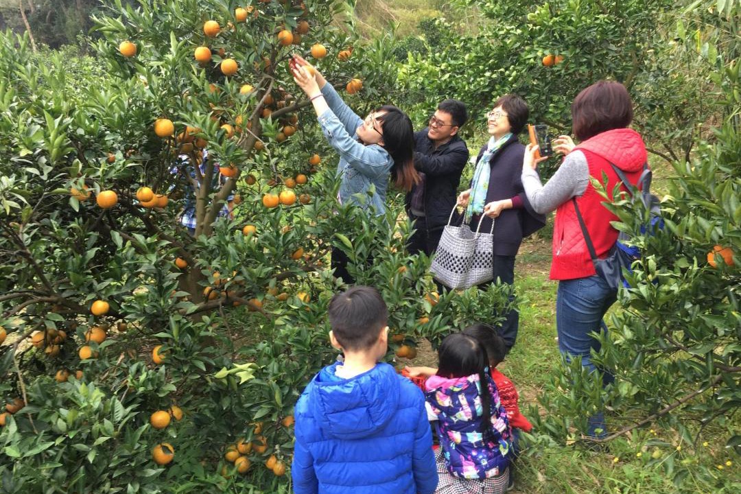 Photo of Others in Emei