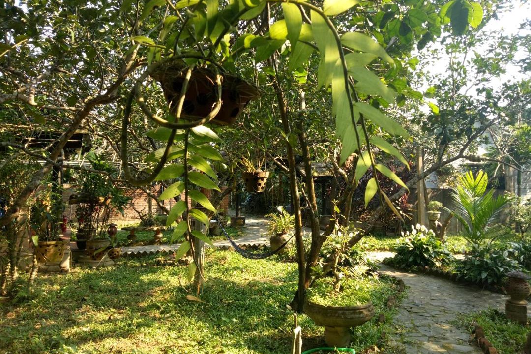 Photo of Others in Huong Tra