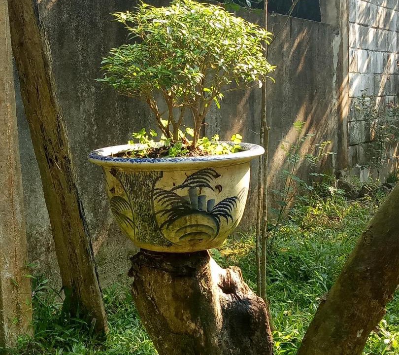 Photo of Others in Huong Tra