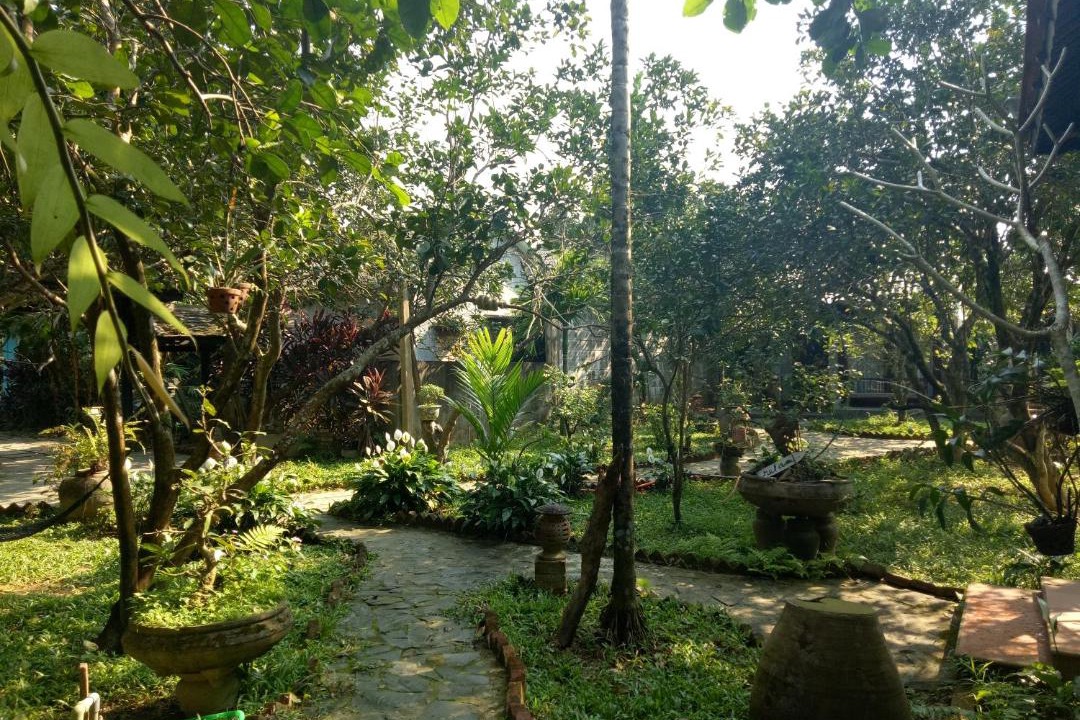Photo of Others in Huong Tra