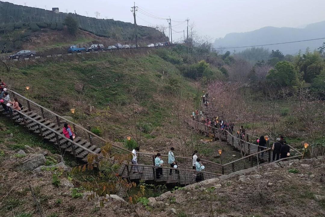 Photo of Others in Zhuqi