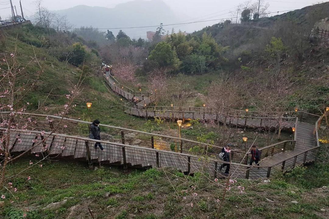 Photo of Others in Zhuqi