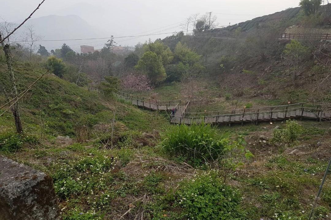 Photo of Others in Zhuqi