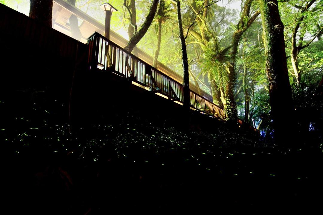 Photo of Outdoor in Lugu