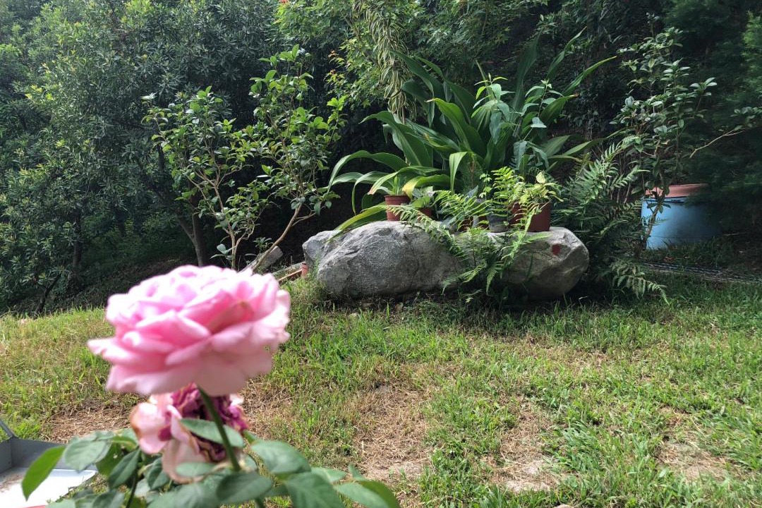 Photo of Others in Dongshi District