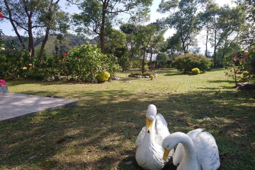 Photo of Others in Taoyuan Village