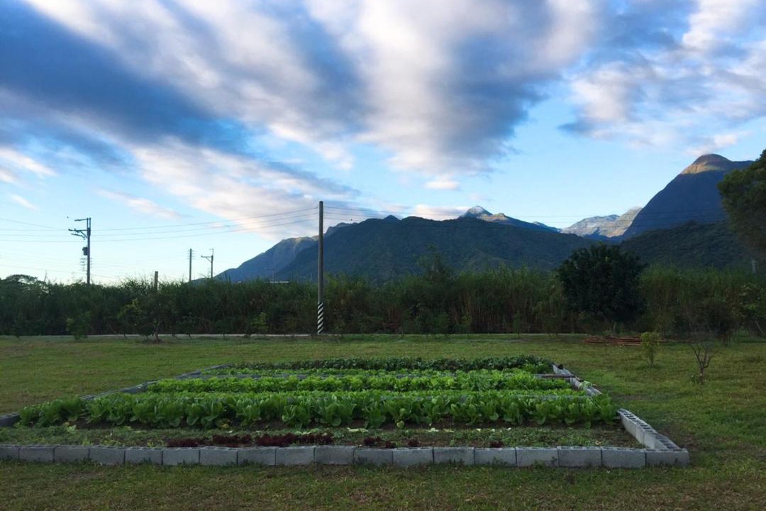 Photo of Outdoor in Xincheng
