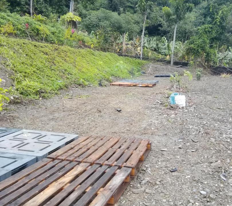 Photo of Outdoor in Guanshan