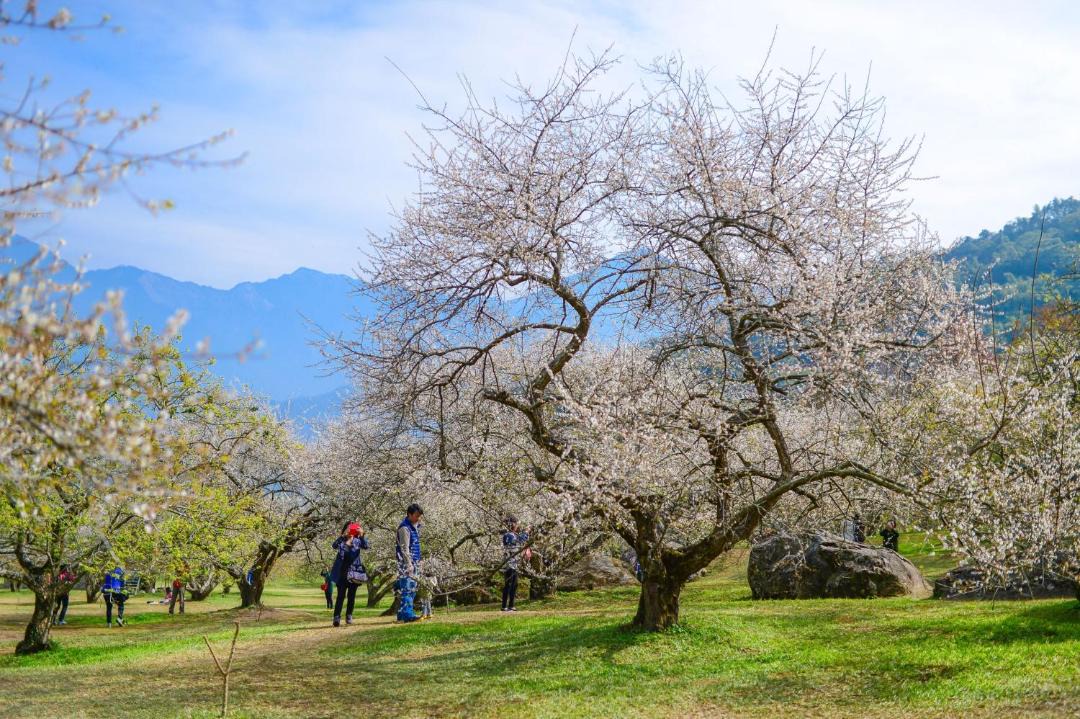 Photo of Others in Dongpu