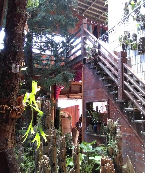 Photo of Others in Tongxiao